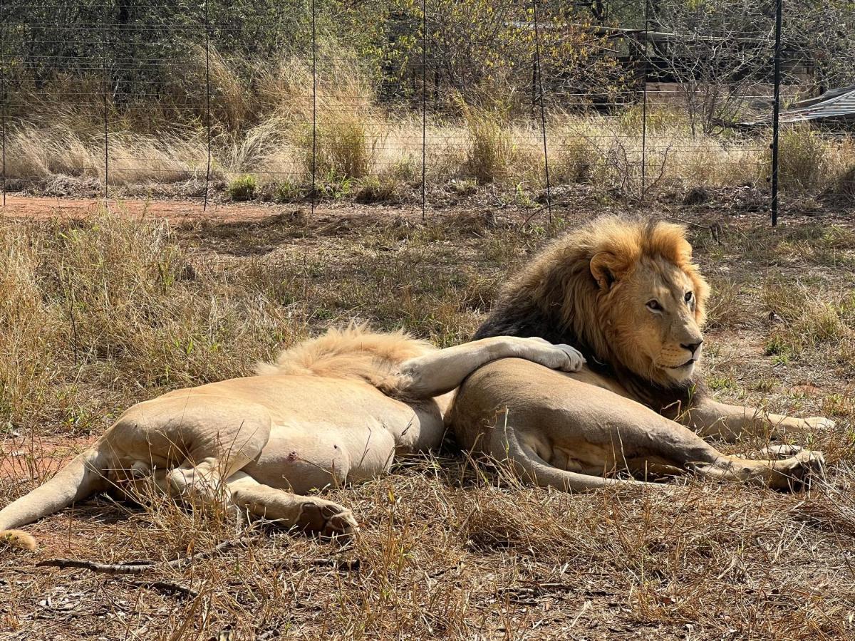 Simba Safaris African Pride Exotic Lodge Lephalale Exterior foto