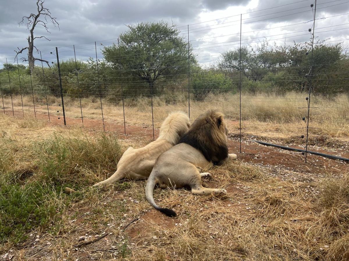 Simba Safaris African Pride Exotic Lodge Lephalale Exterior foto