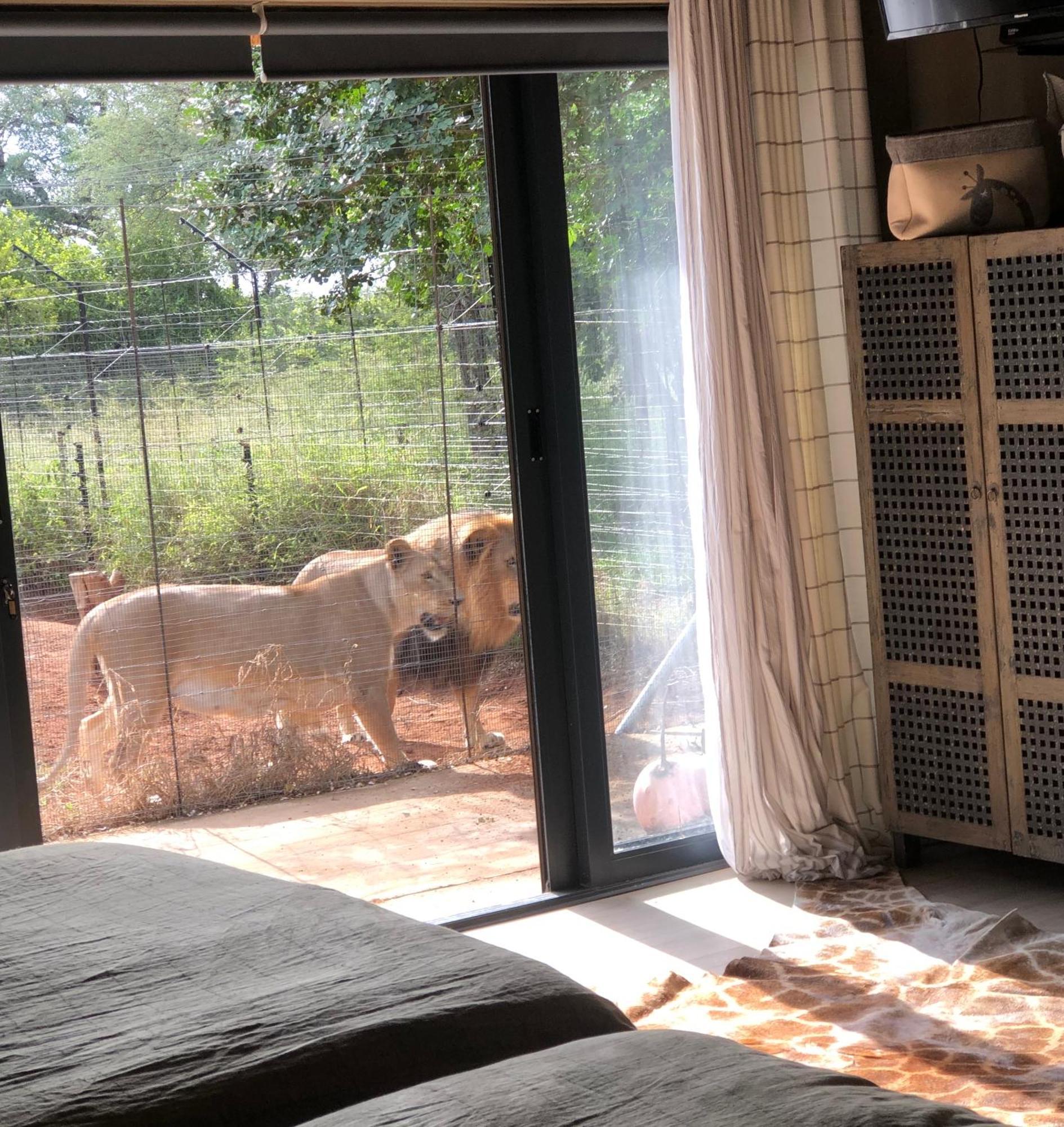 Simba Safaris African Pride Exotic Lodge Lephalale Exterior foto