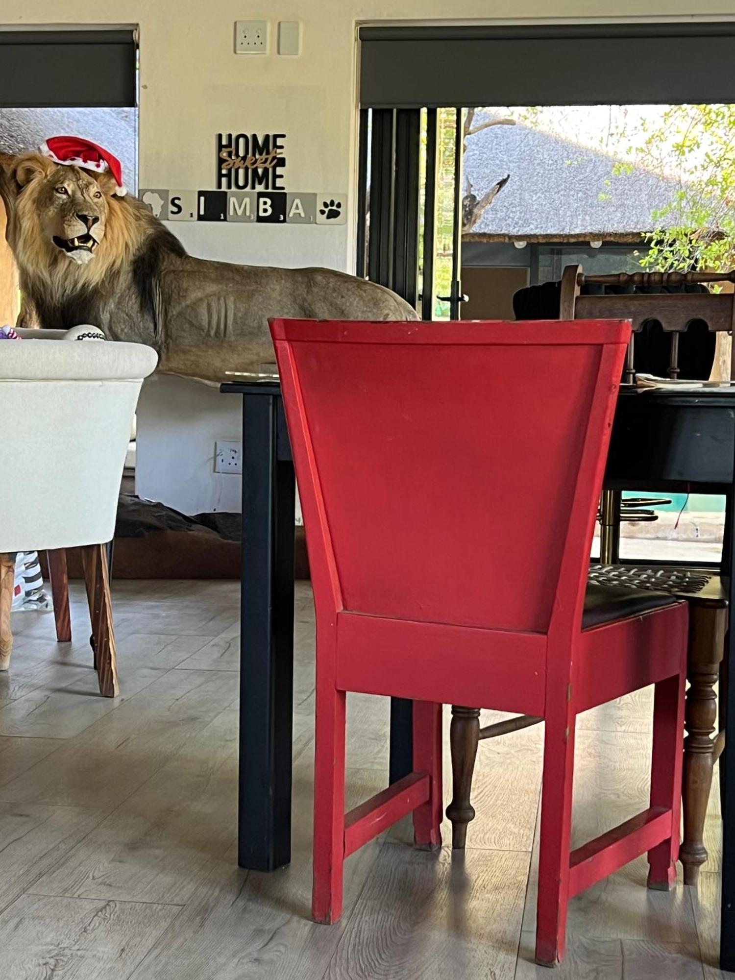 Simba Safaris African Pride Exotic Lodge Lephalale Exterior foto