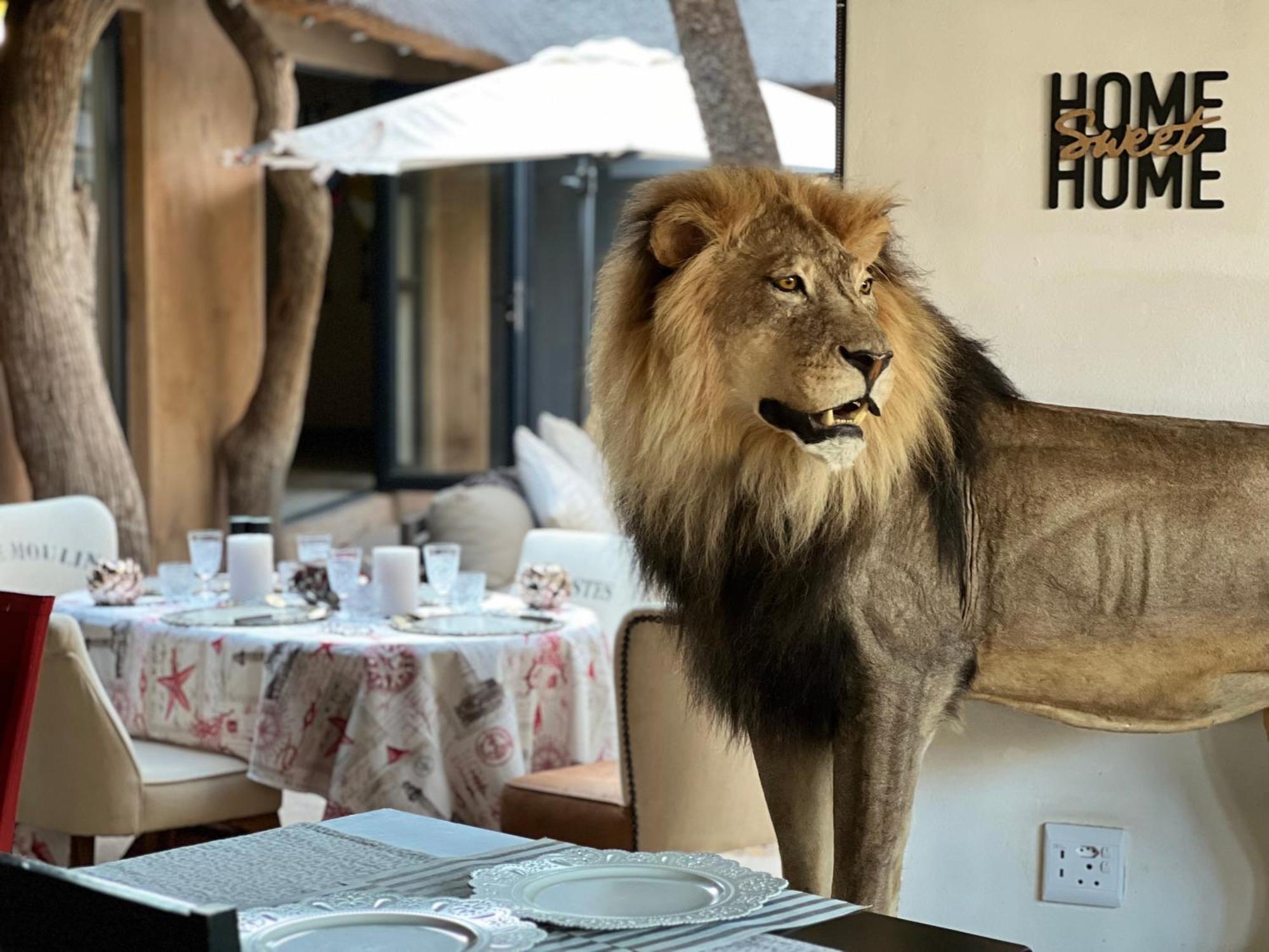 Simba Safaris African Pride Exotic Lodge Lephalale Exterior foto
